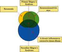 diagram.gif (15569 bytes)